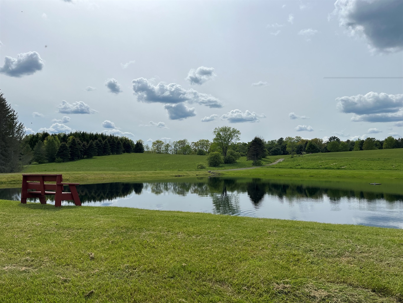 Pond for swimming, fishing & paddle sports fun