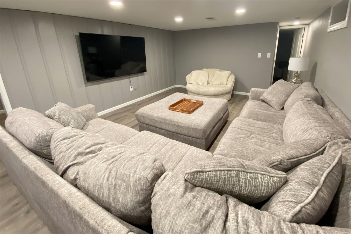 Basement Living Room
