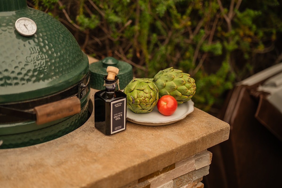 Big green egg for grilling
