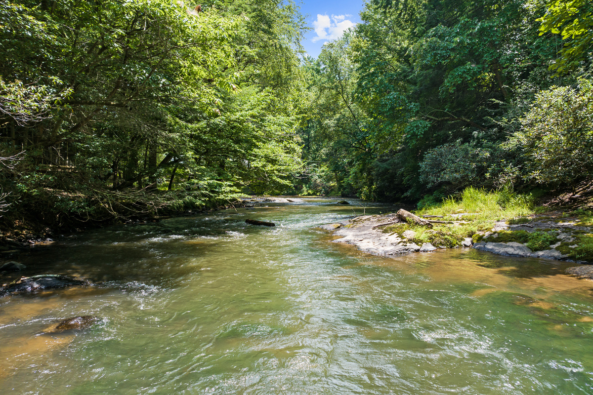 Spend your days fishing, tubing, swimming, or simply relaxing along the beautiful Cartecay River.