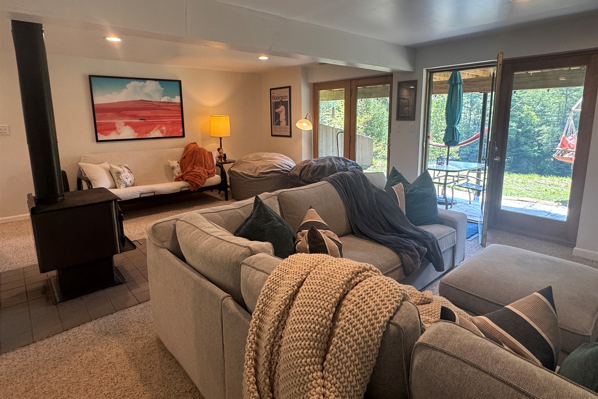 Comfy couch, and a futon, walk-out to patio