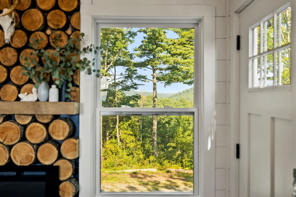 View from every window
