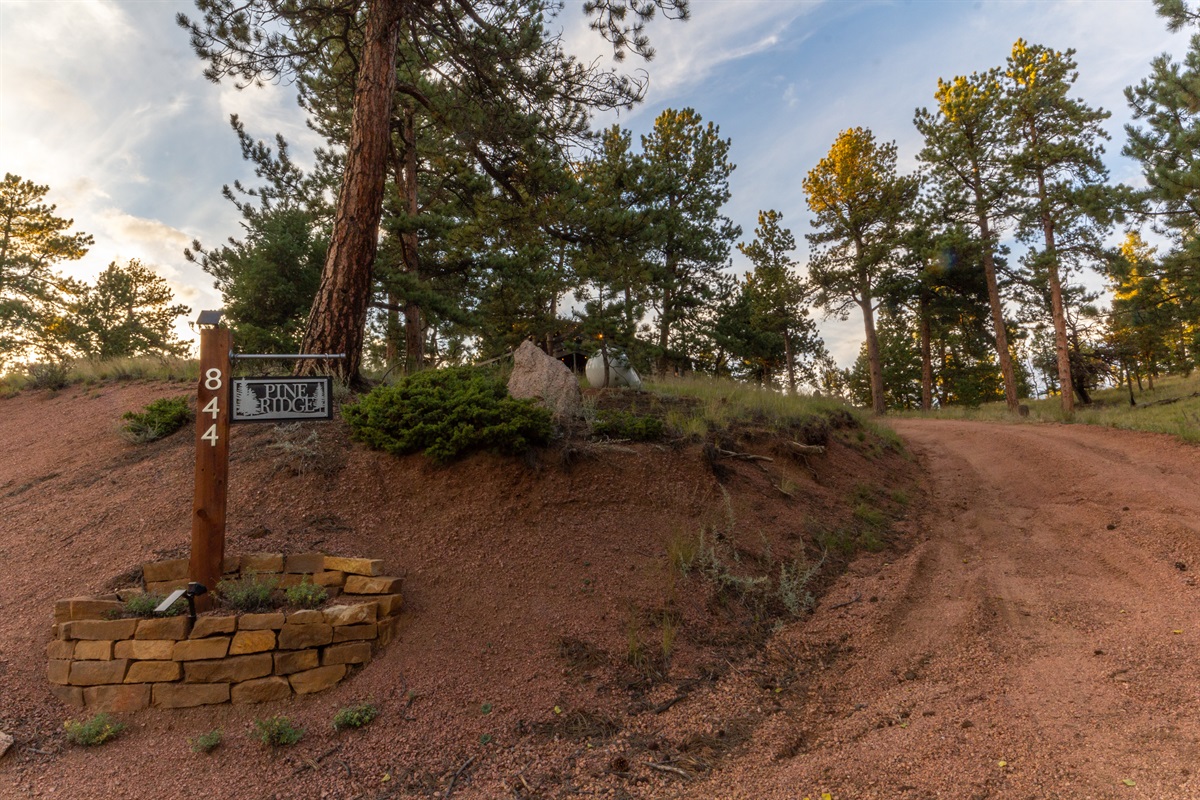 Driveway Entrance