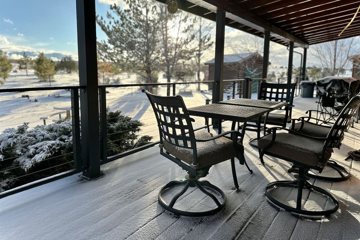 Backyard forest edge with frequent wildlife sightings 