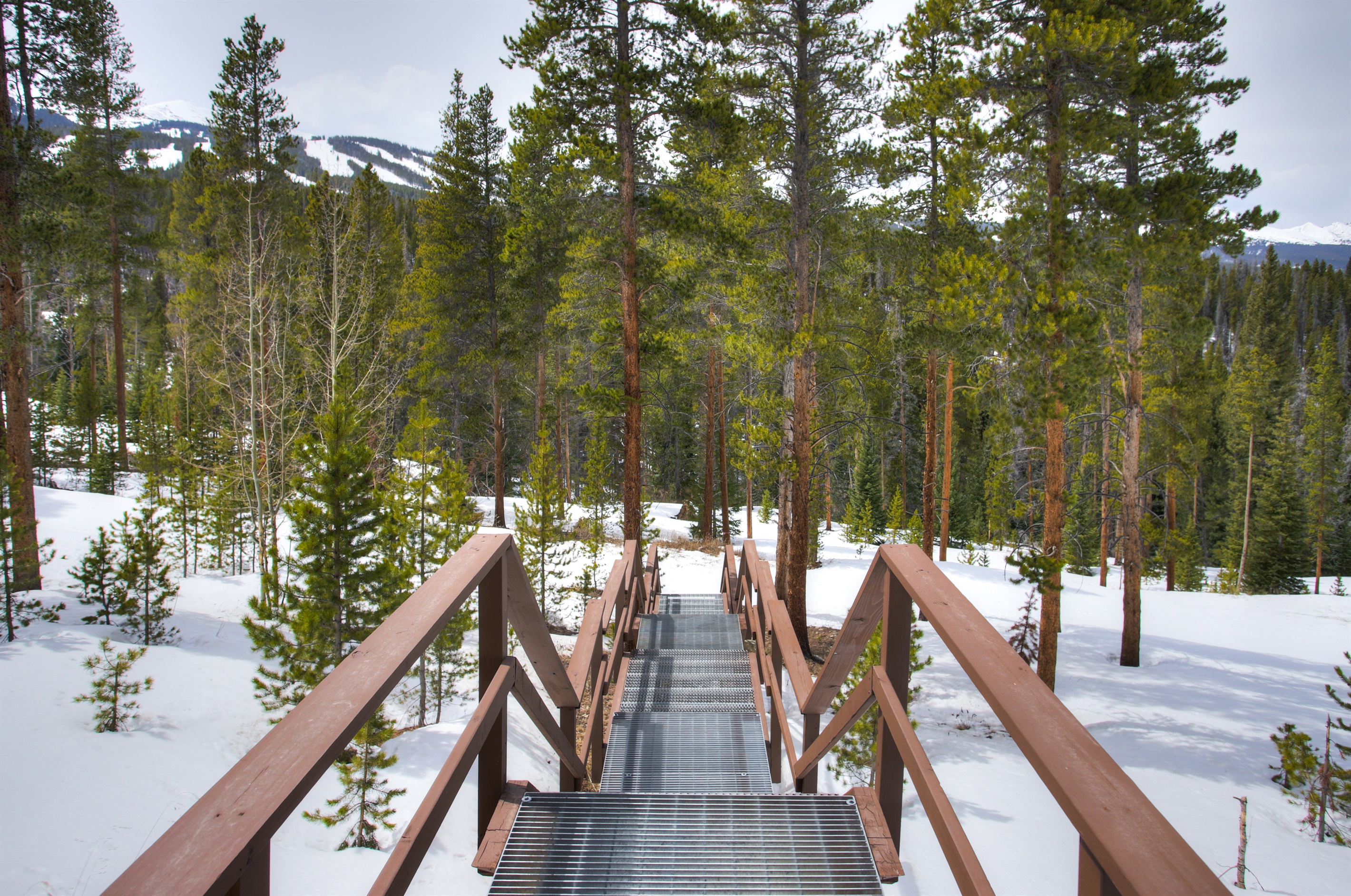 Walk out to the National Forest.