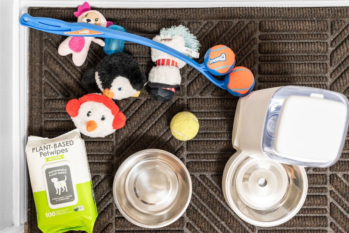 For the furry friends! 