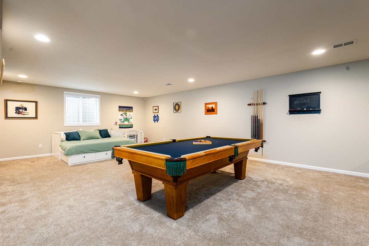 Basement Living Room