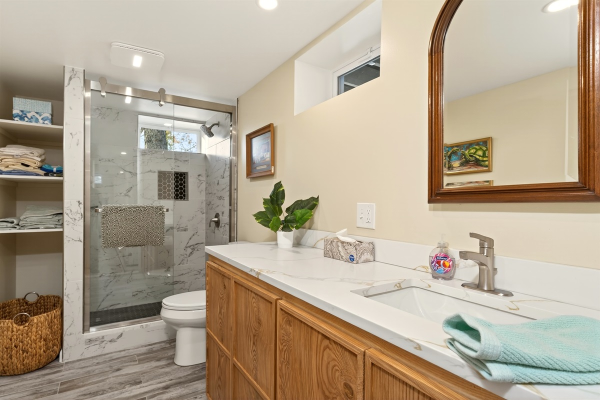 Lower level full bathroom