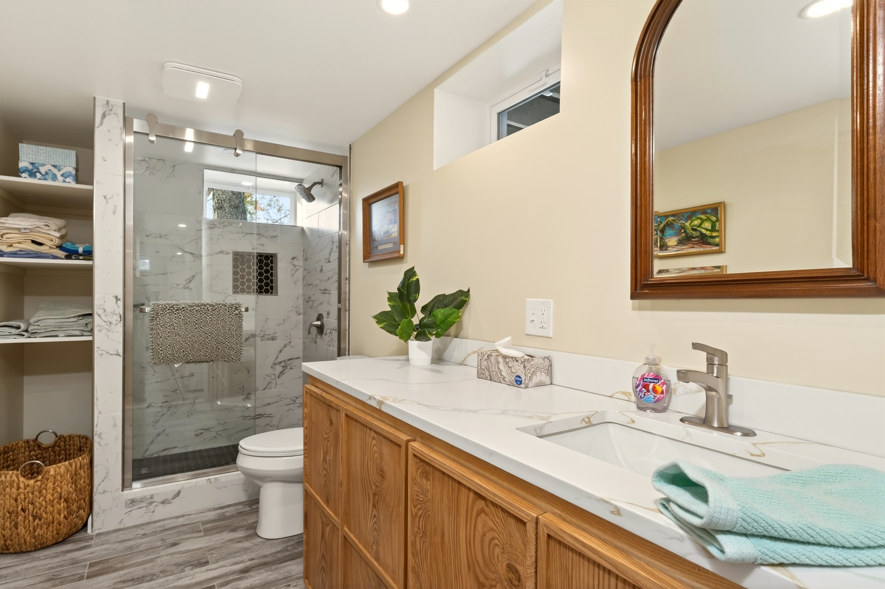 Lower level full bathroom