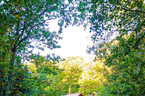 Rock Garden cottage view coming up driveway in early fall 