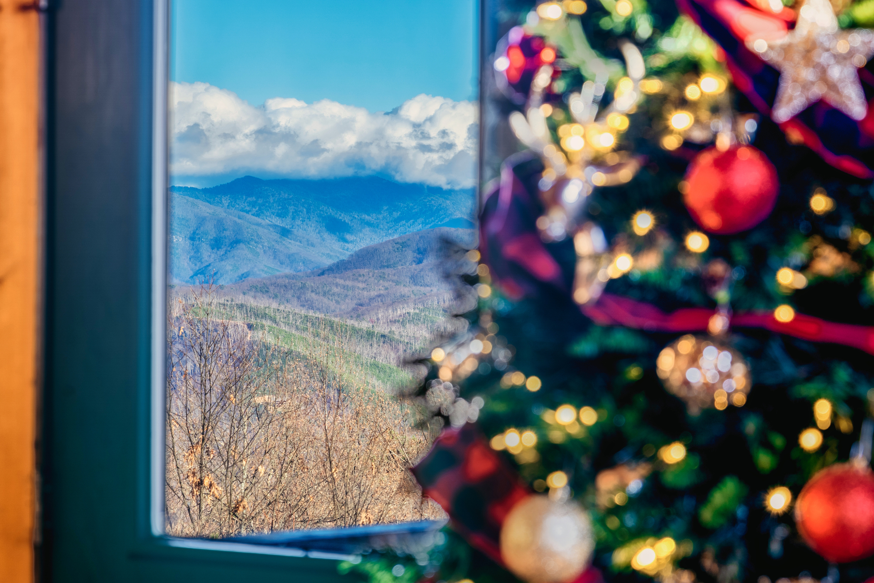 Winter views from the living room
