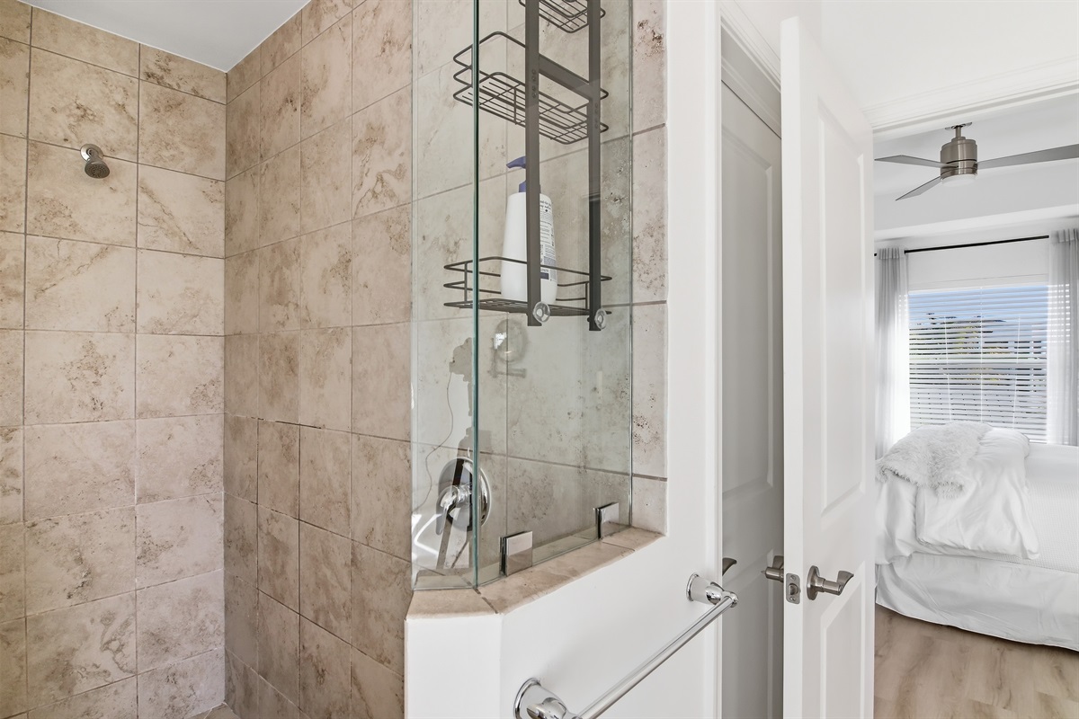 Primary en-suite stand up shower