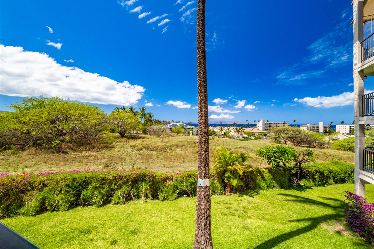 Lanai/Balcony