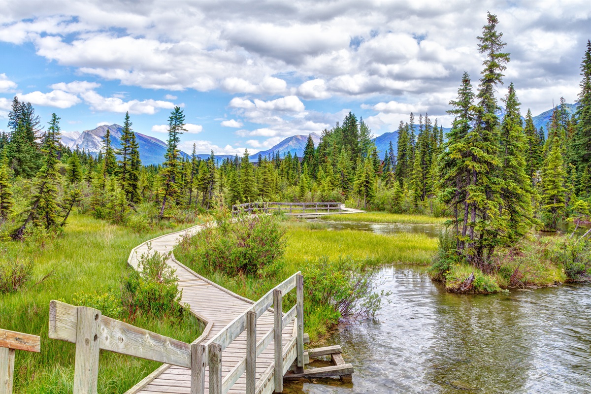 Policeman's Creek Boardwalk