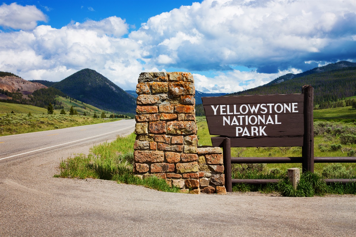 Welcome to Yellowstone National Park!