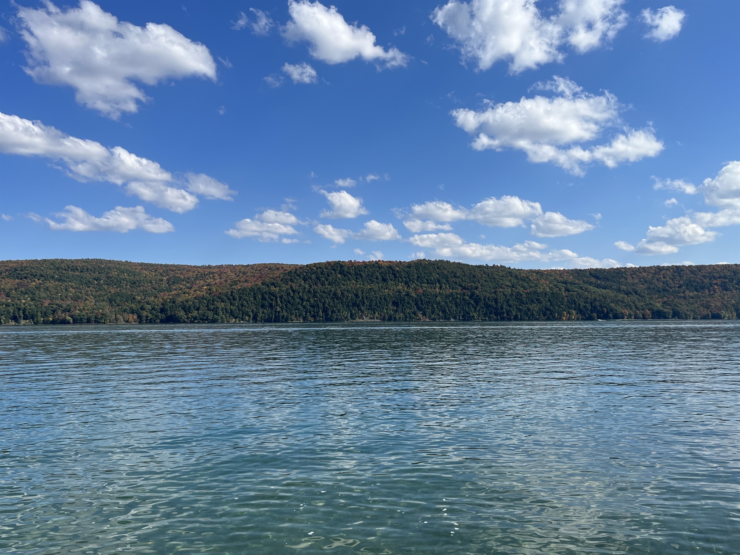 Lille Gossebo private waterfront on Otsego Lake.