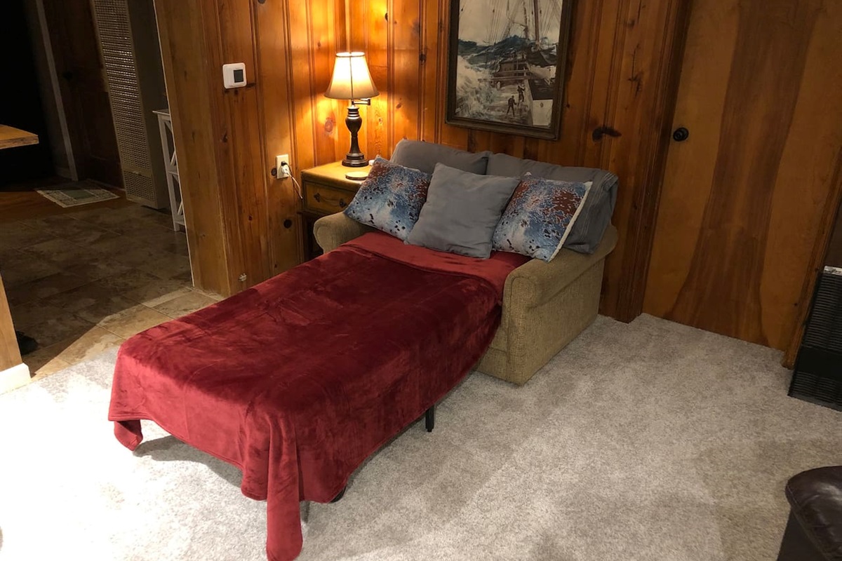 Twin size sofa bed in action! 