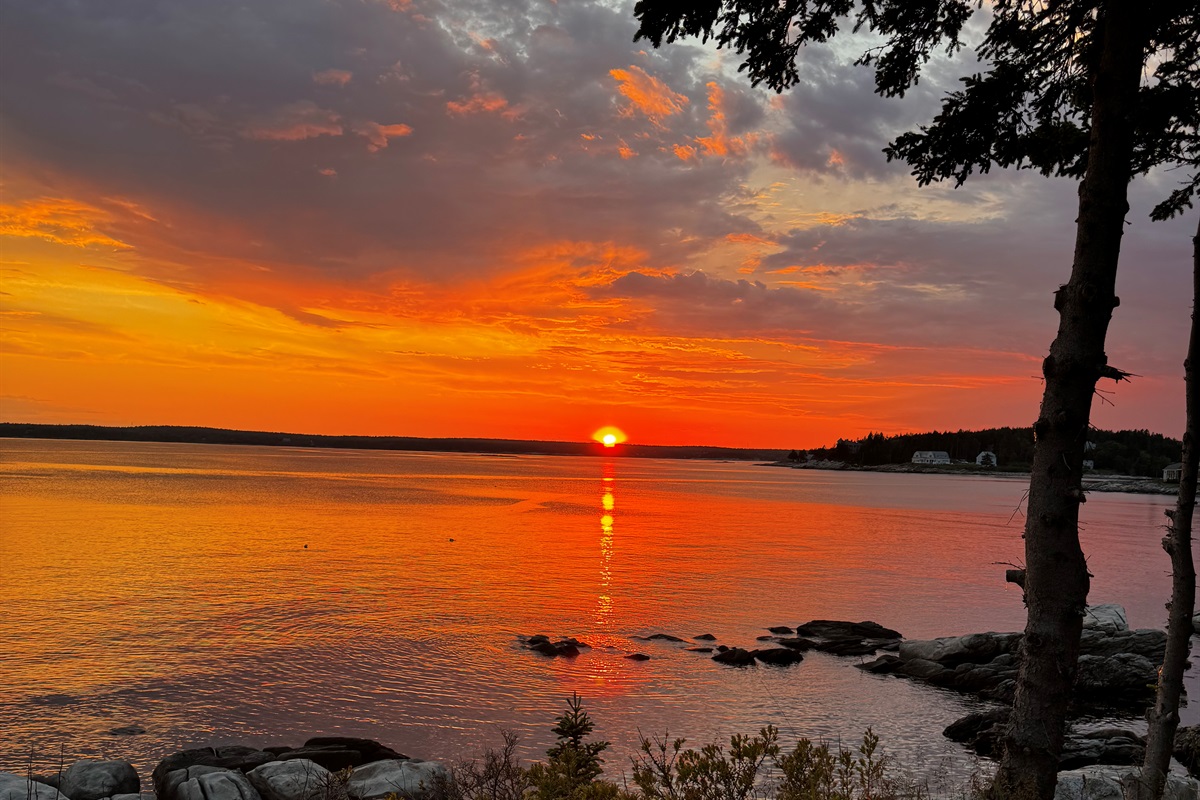 Captivating sunsets