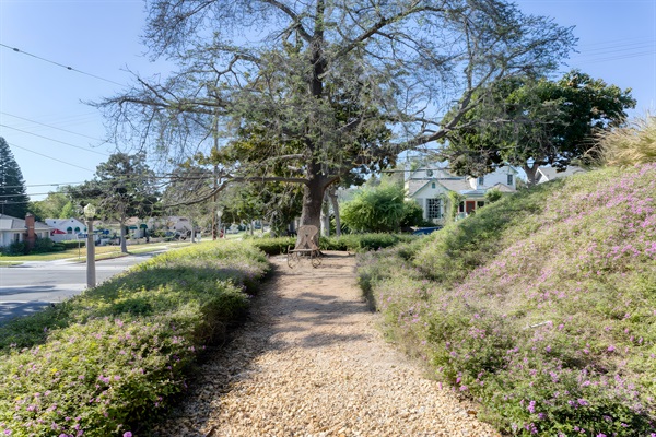 Beautiful landscaping