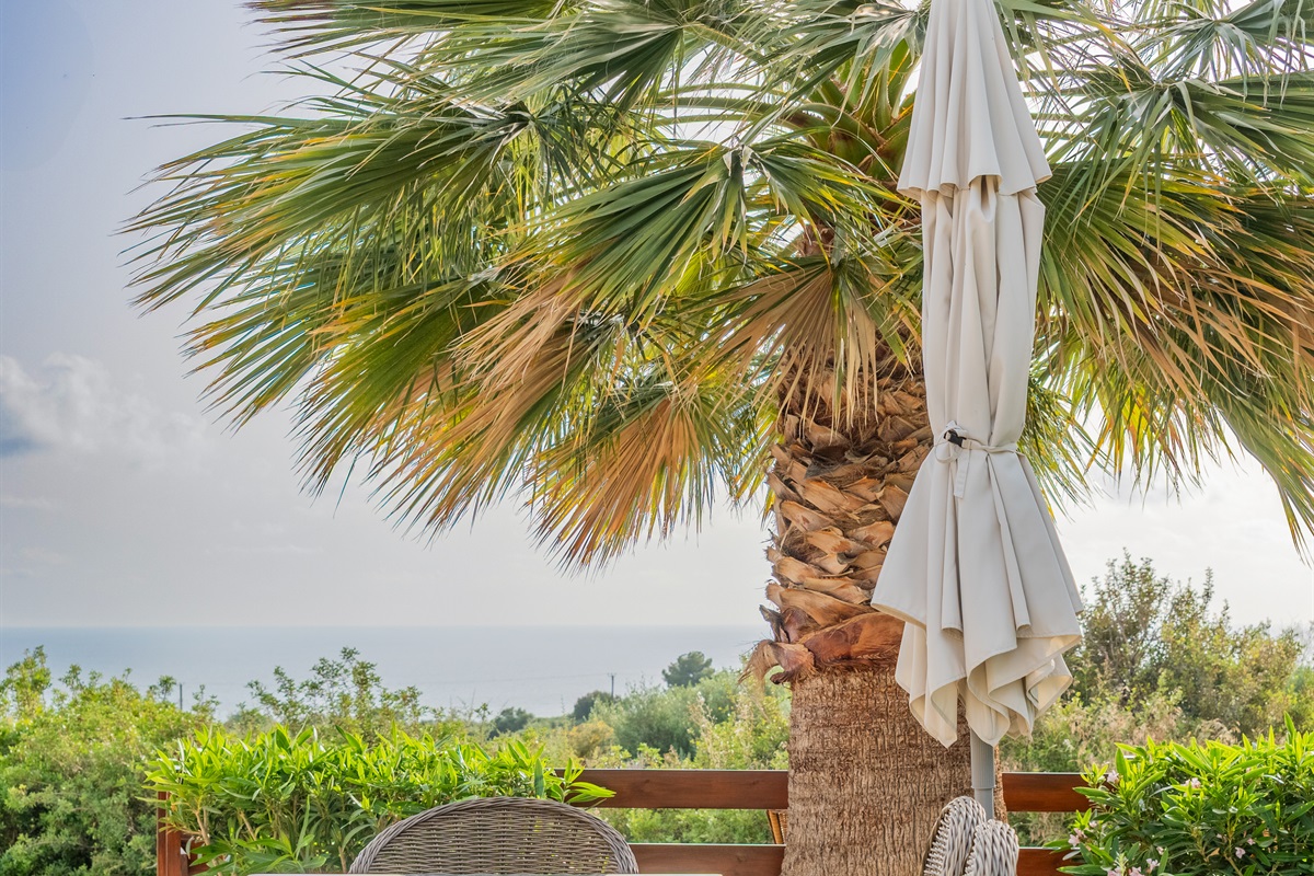 In the hotter months, you can find shade any time of day when dining, either from the trees or the sun umbrella.
