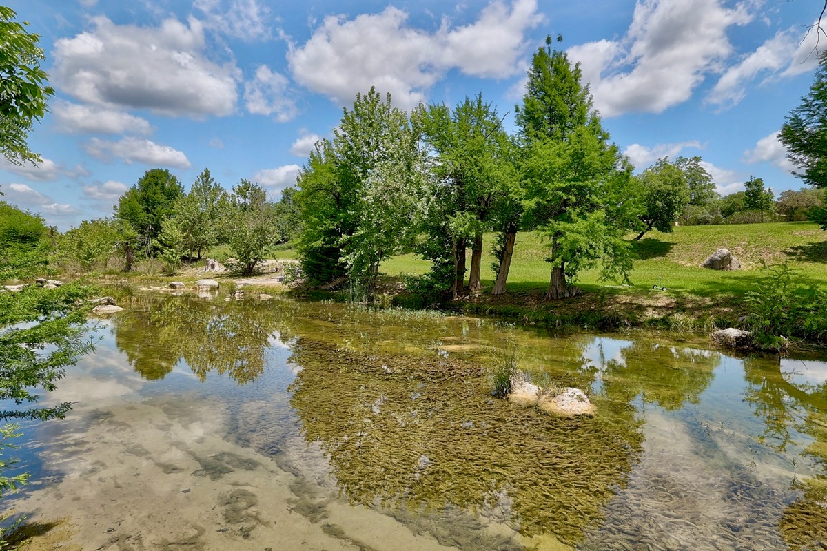 Private Blanco River access just steps away