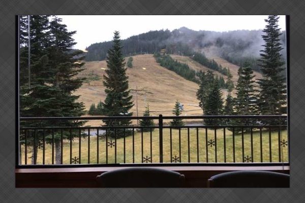 View from living room window.