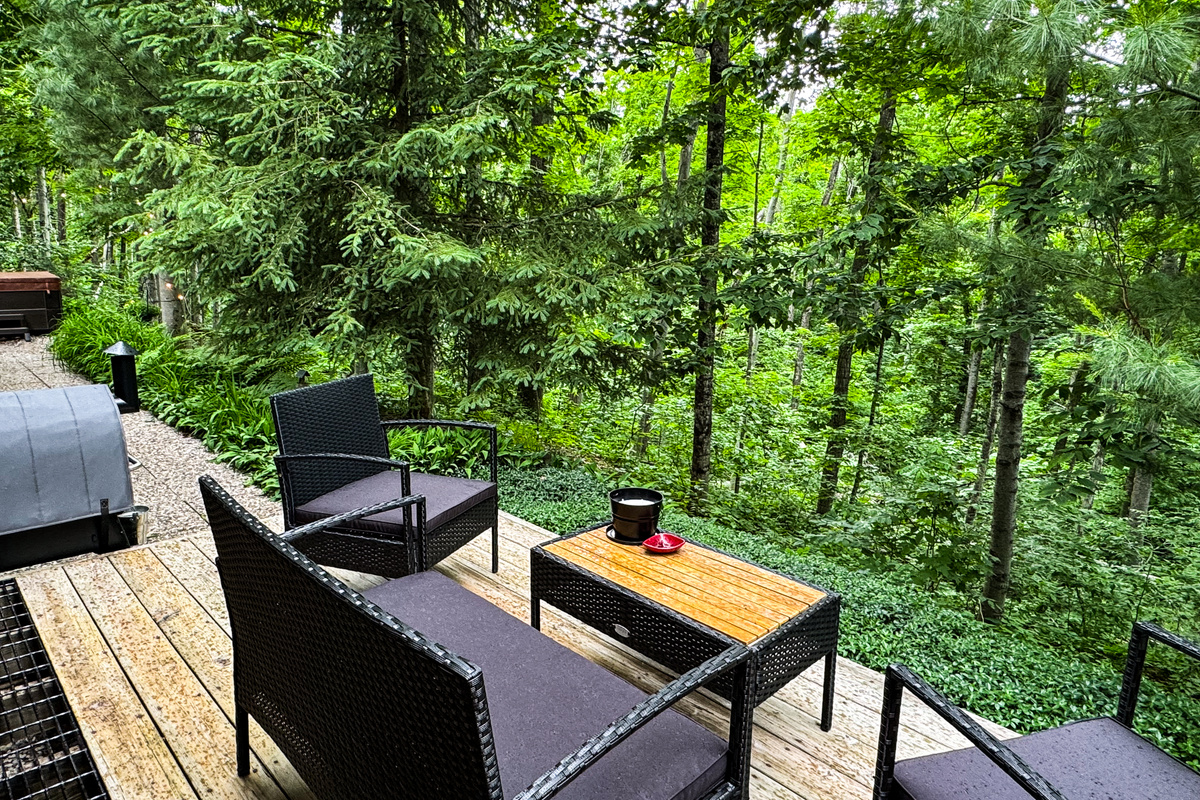 Wooded Views