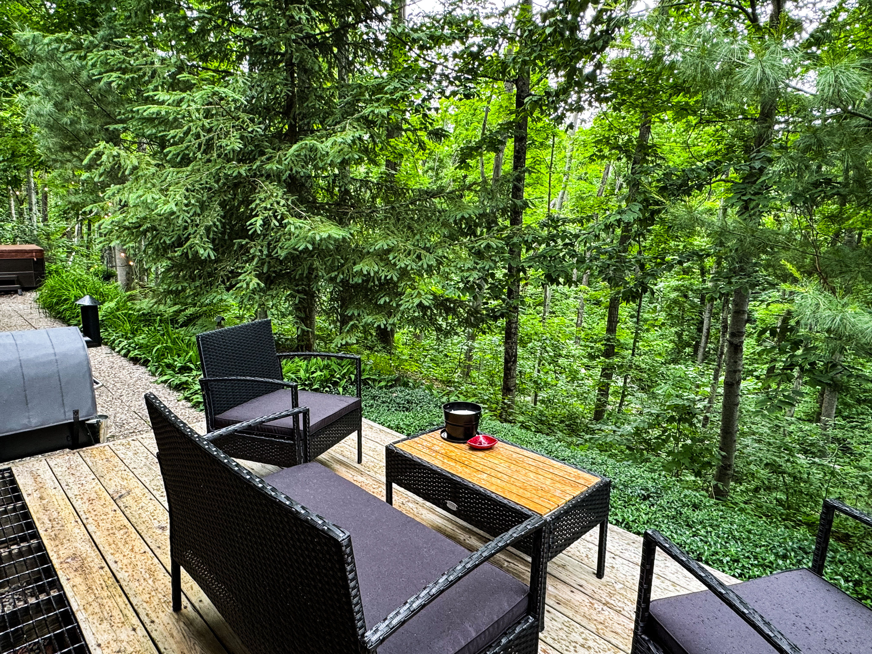 Wooded Views