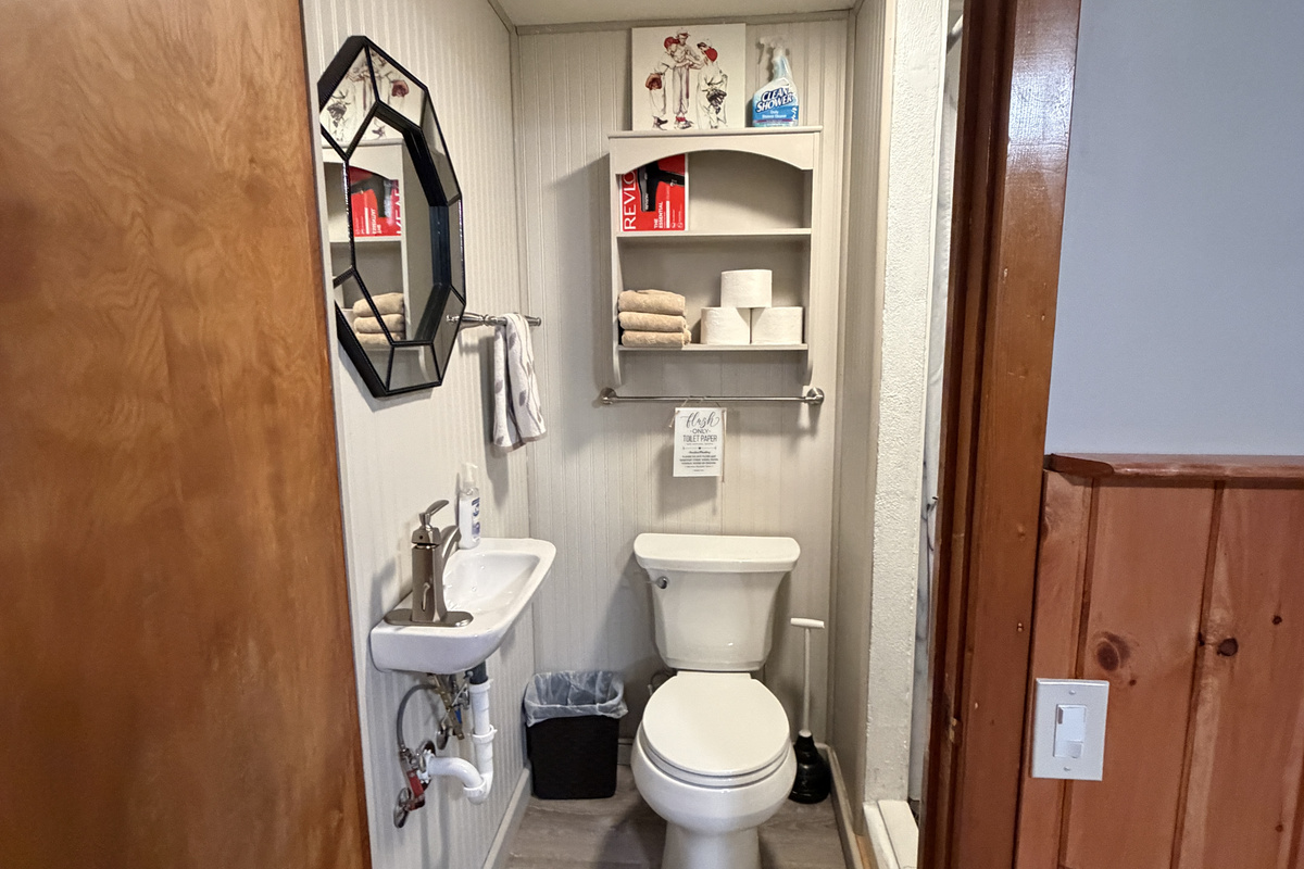 Lower level bathroom with shower
