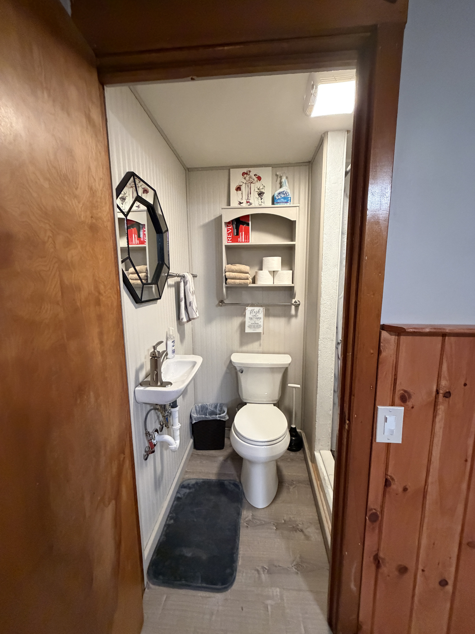 Lower level bathroom with shower