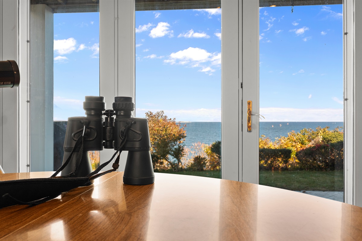 Bird watching by day, stargazing by night