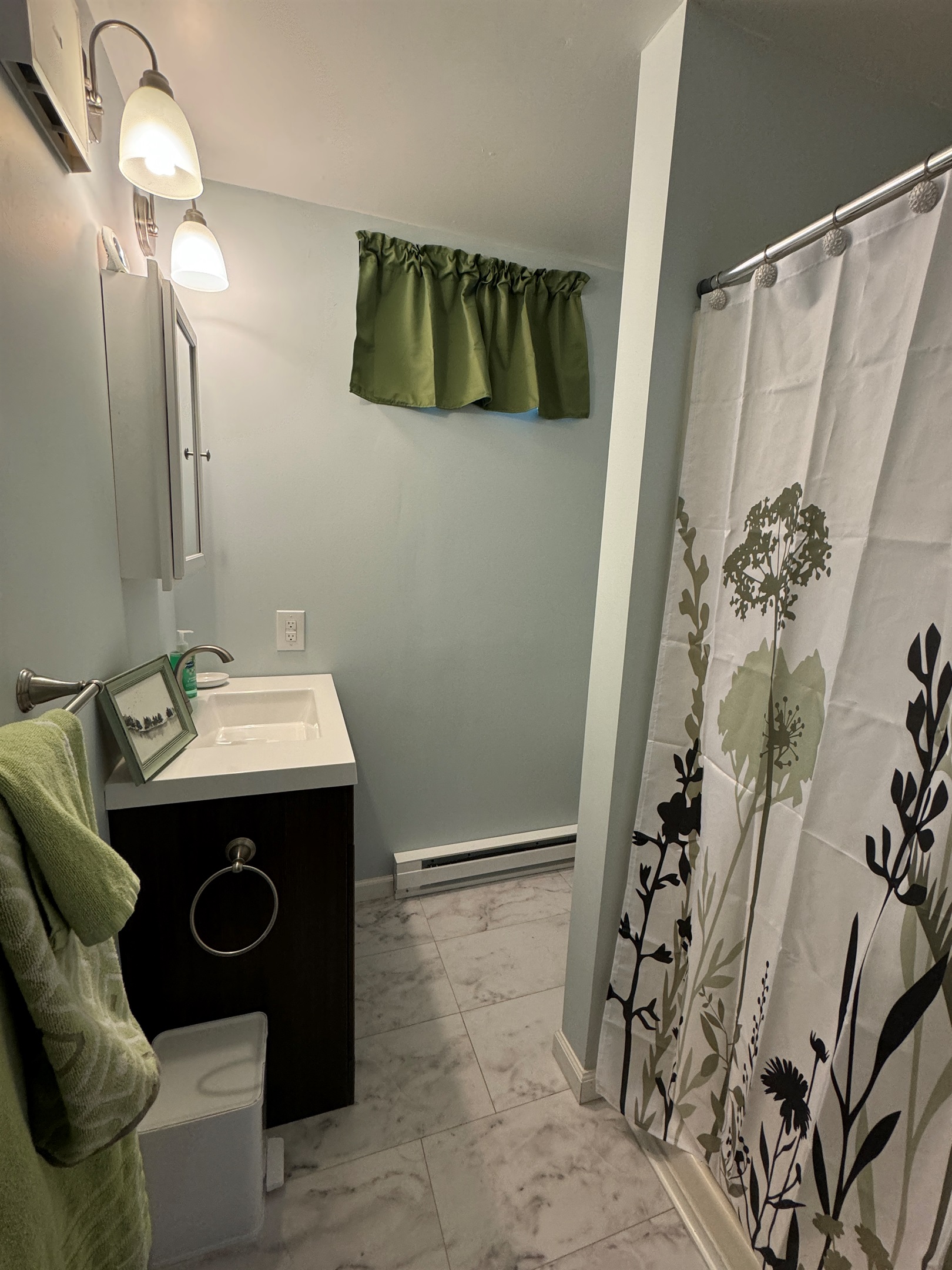 Lower level bathroom with shower