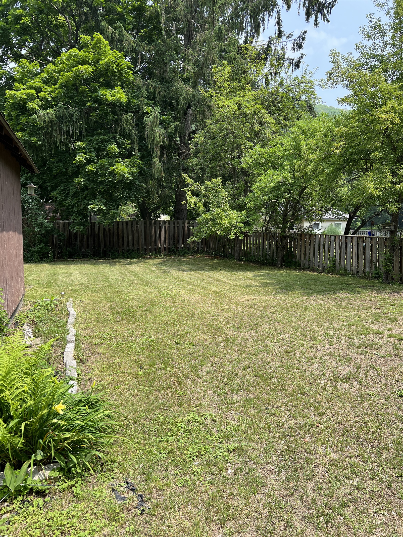 Backyard at 294 Chestnut