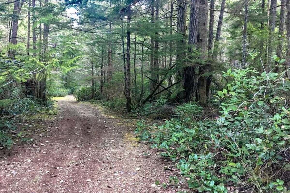 More Paths