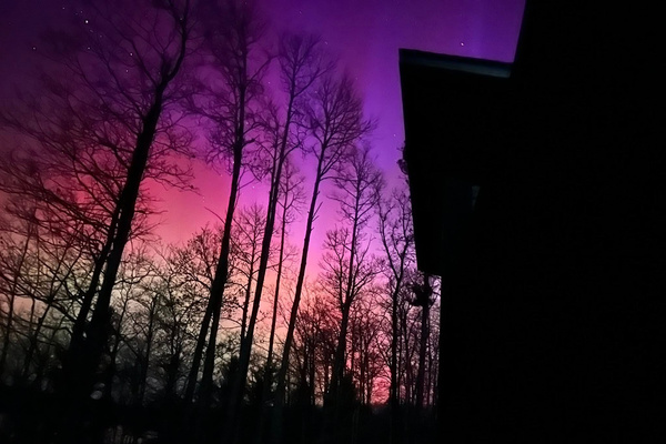 From the Deck