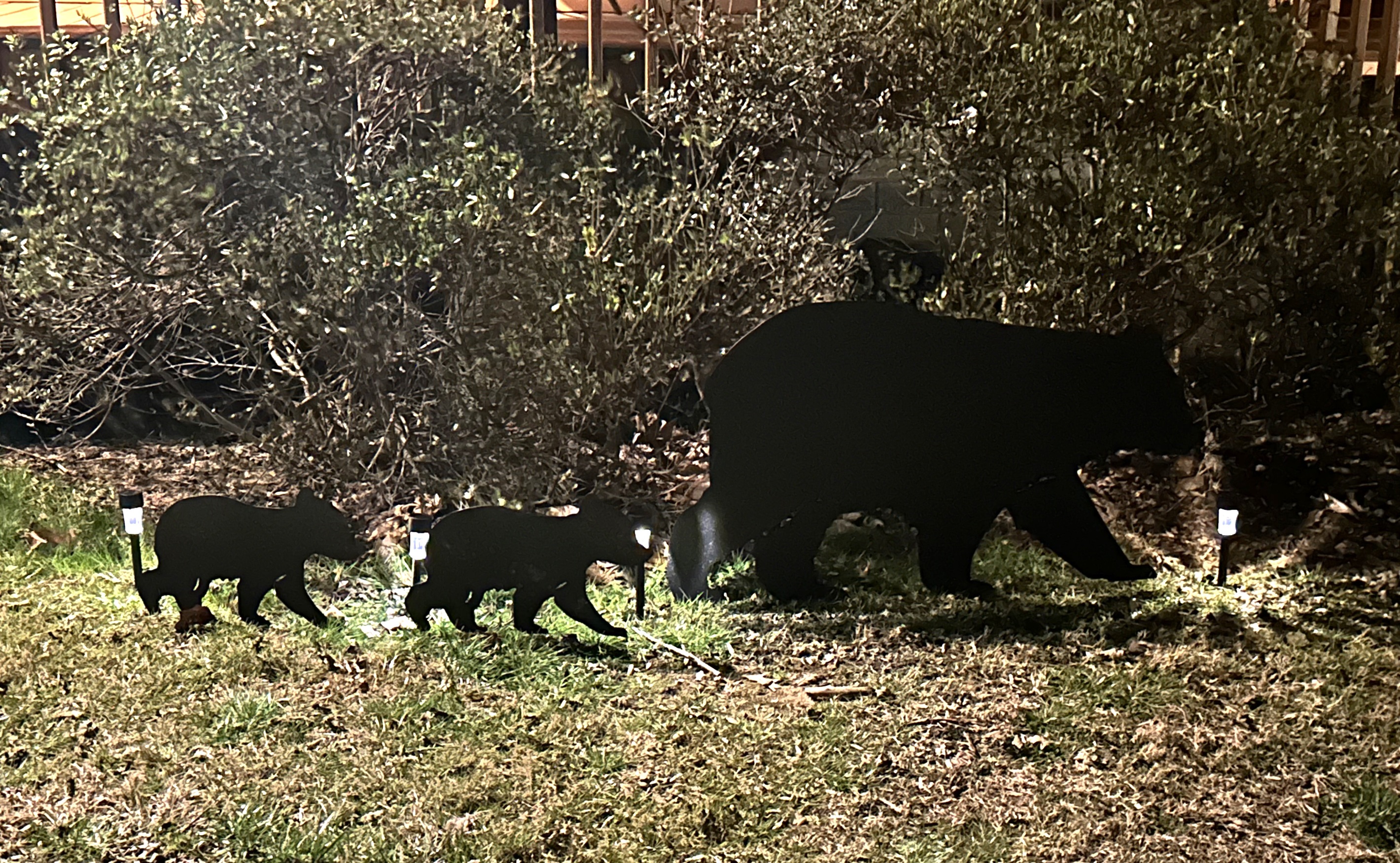 Just a little bear design!