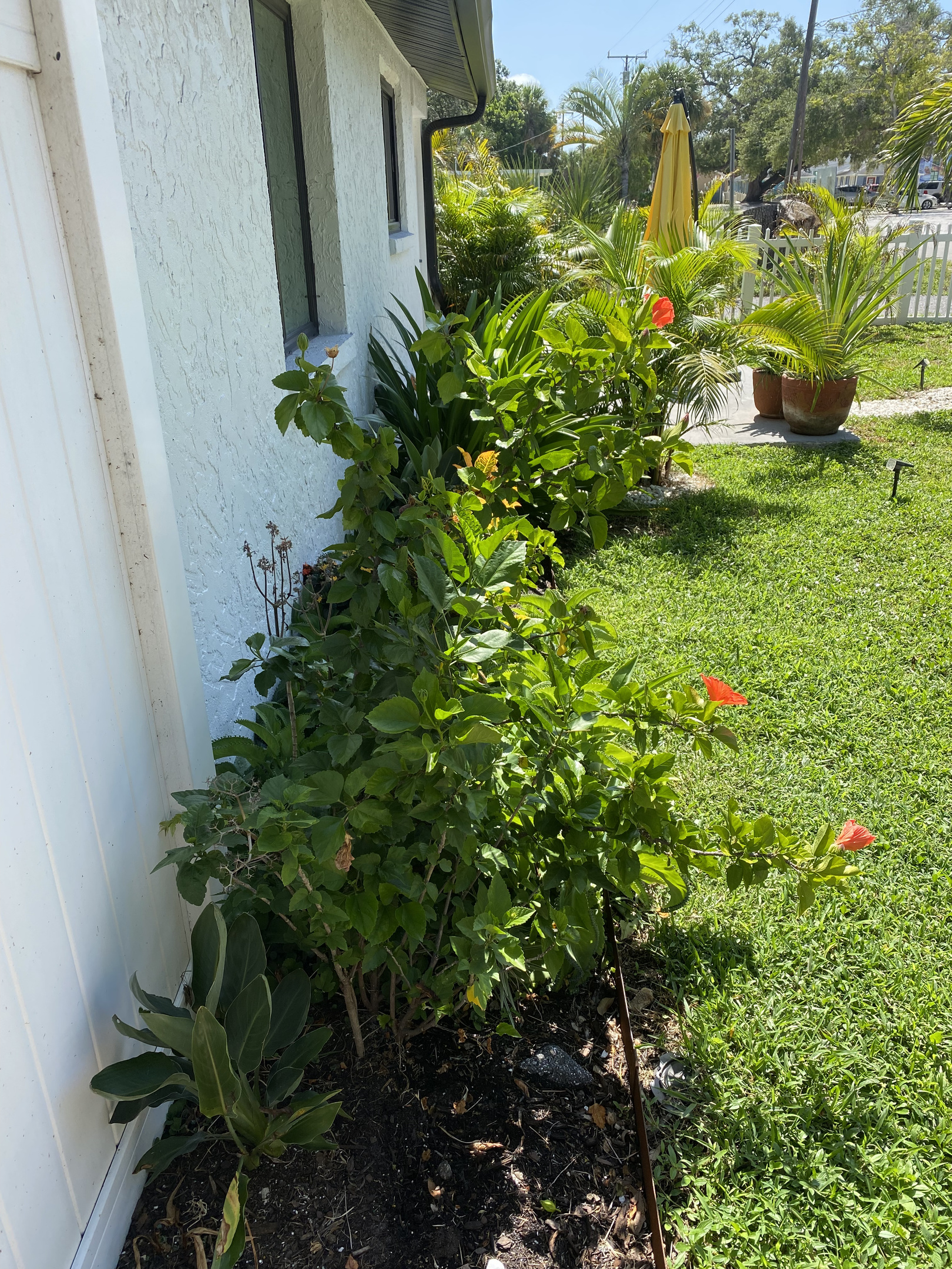 Beautiful front of the house