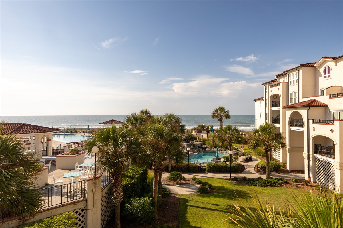 How beautiful is this view?