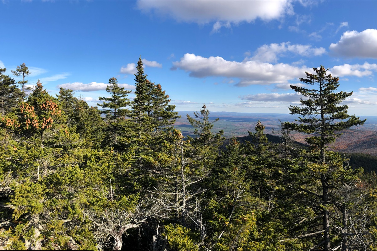 Nearby Mountain Trails