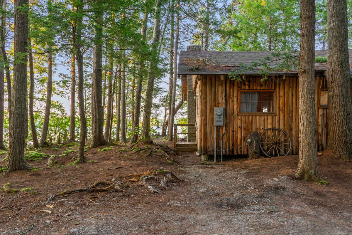 Path from parking to entry at Loonrise Point! Glancing left shows water peeking through towering pines on this private Beech Hill Pond peninsula in Otis, ME. Raw pine roots, gravel path, and classic cedar camp exterior just 40 mins from Acadia.