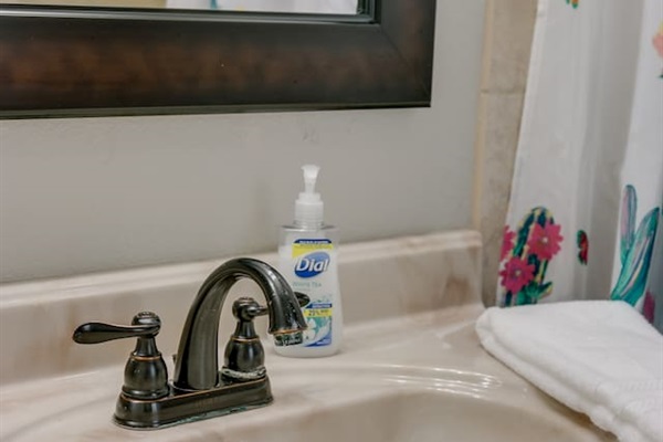 Updated Master Bathroom