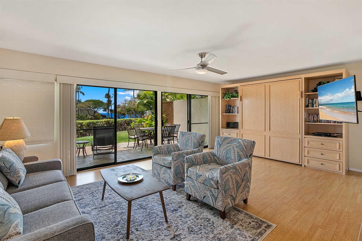 Living room with Murphy bed and TV