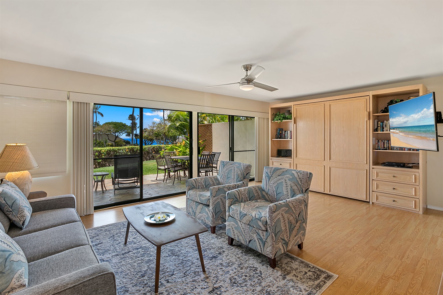 Living room with Murphy bed and TV