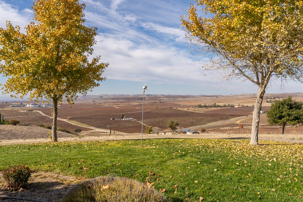 Vineyard views from each direction.