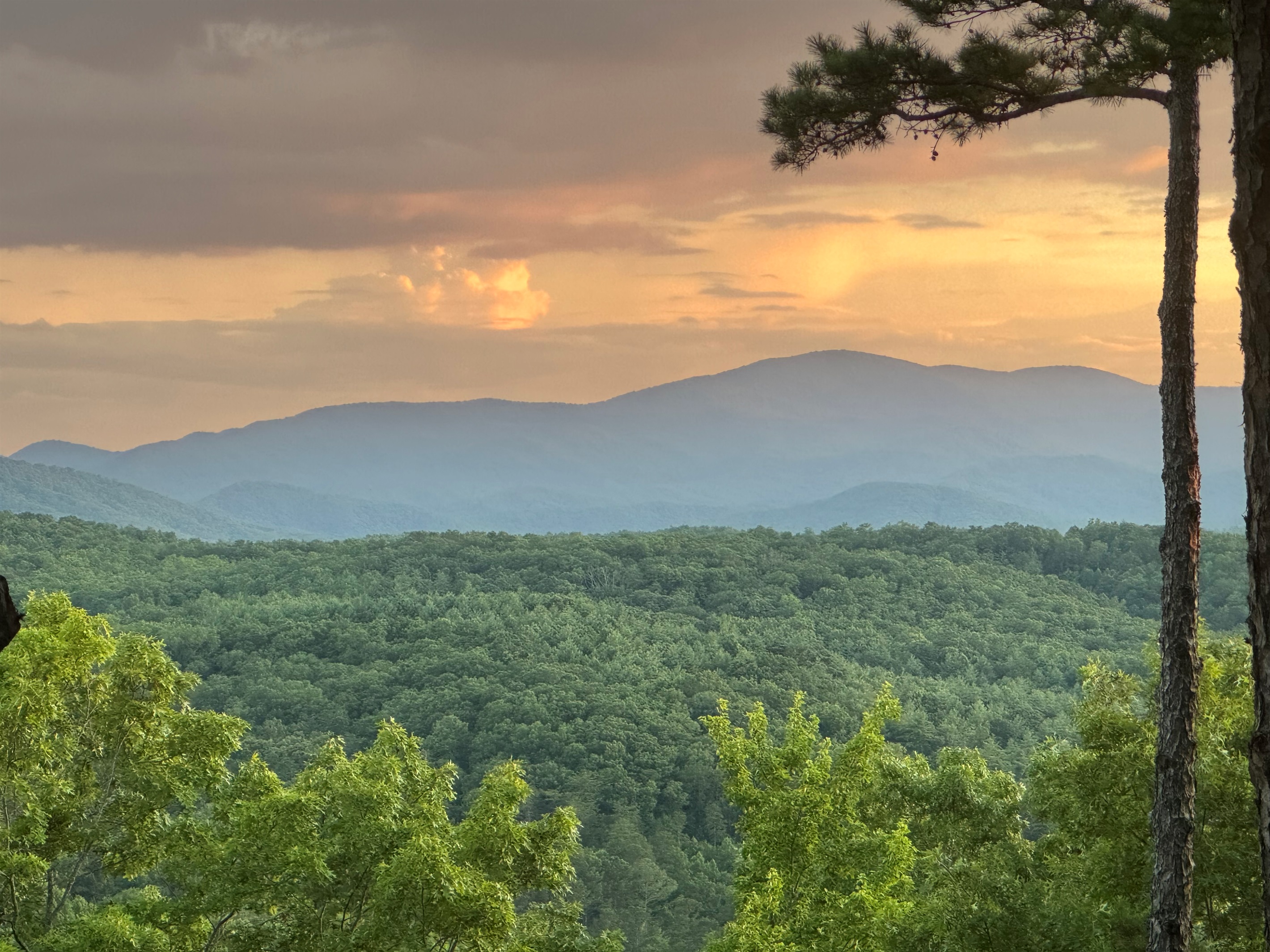 Endless Blue Ridge Mountains vistas just beyond the cabin.