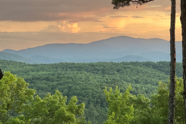 Endless Blue Ridge Mountains vistas just beyond the cabin.