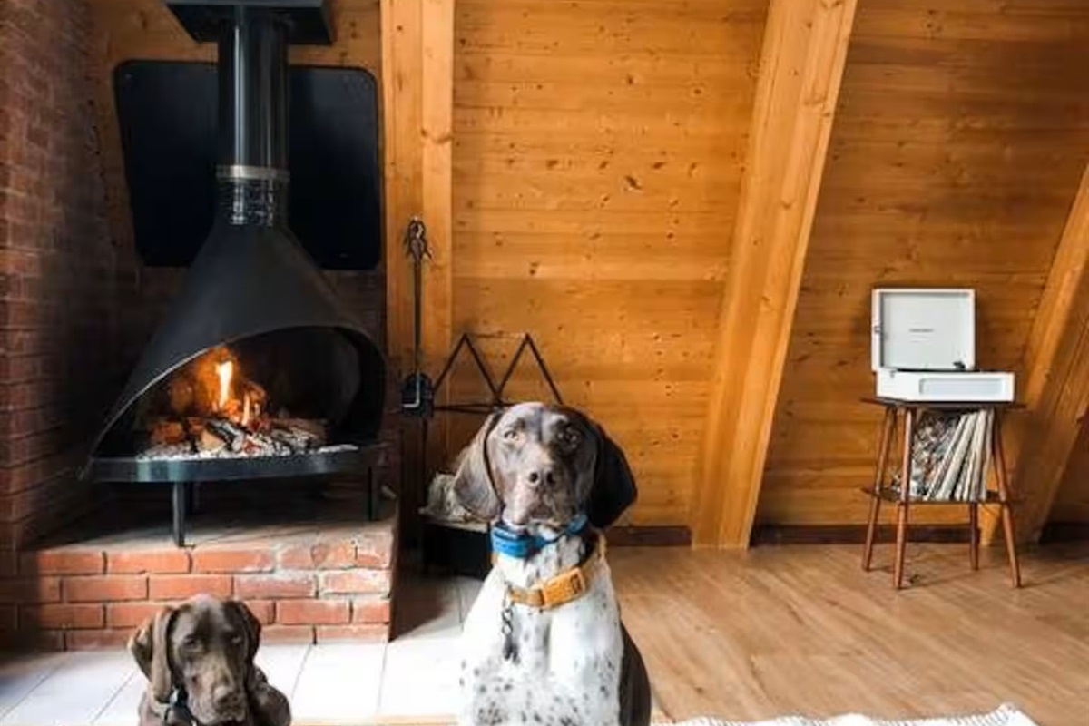 Did we mention we are dog-friendly? Bring your pup!