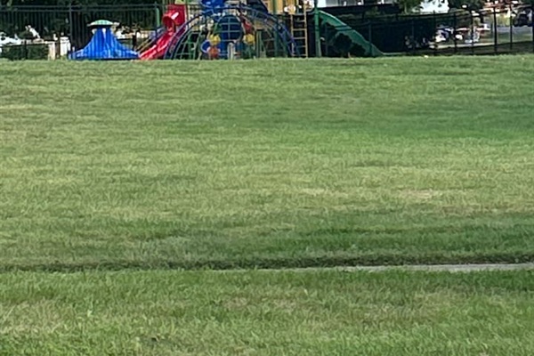 Playground directly across the street!