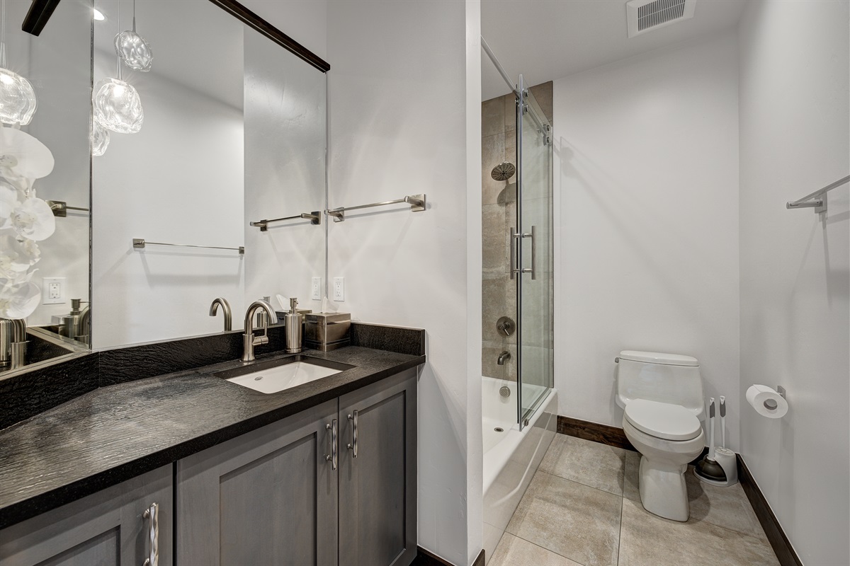 Lower Level Common Bathroom