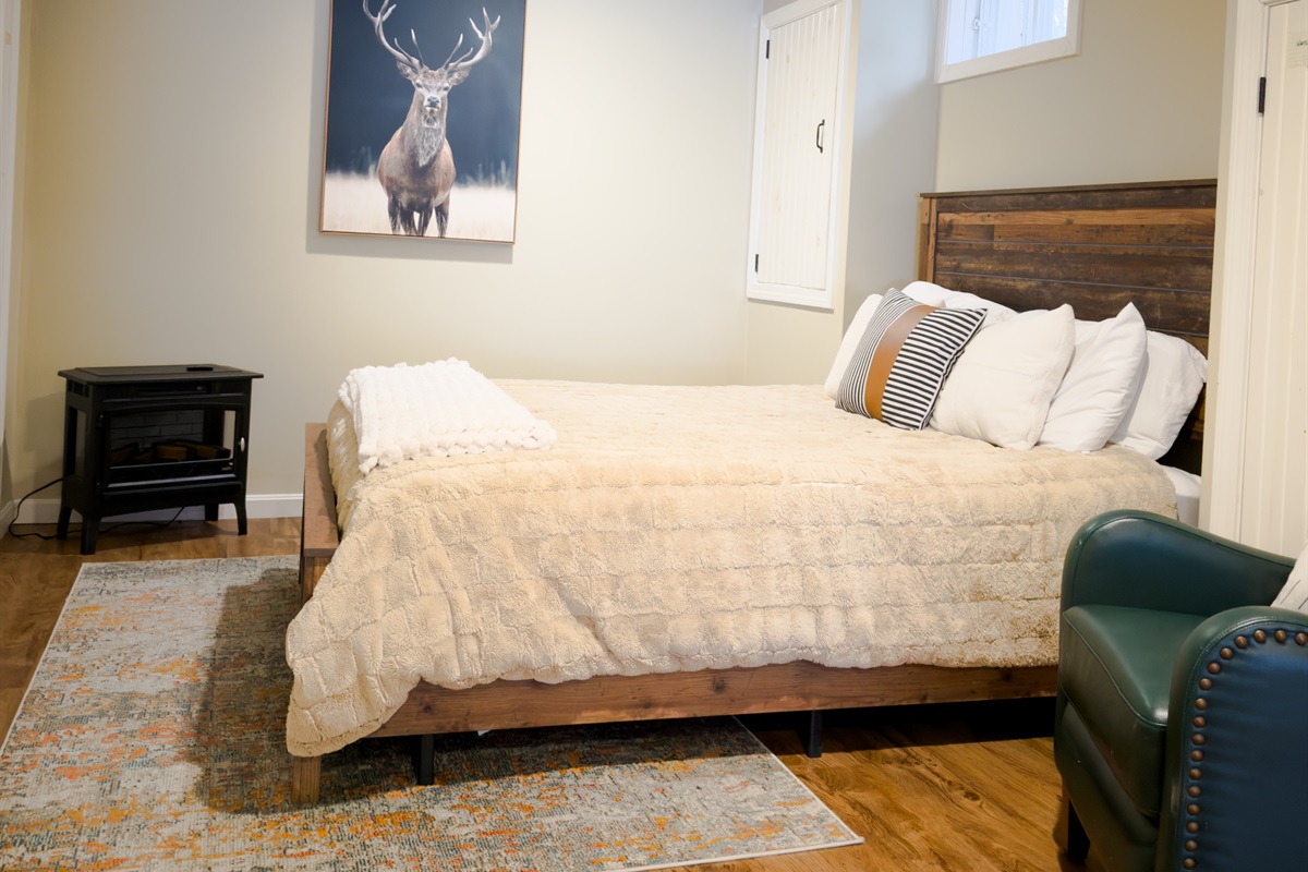 Queen - Lower Level. Space is equipped for multiple families and friends.